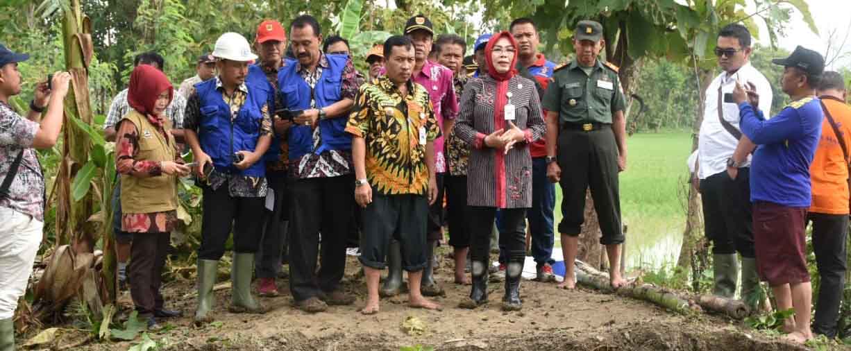 Bupati Grobogan Tinjau Lokasi Tanggul Jebol Sungai Jajar di Kecamatan Godong dan Karangrayung