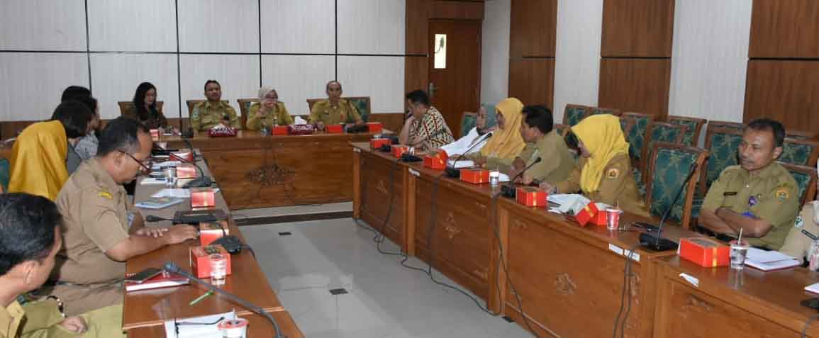 Bupati Gelar Audensi Penanganan AKI dan AKB dengan Yayasan Project HOPE