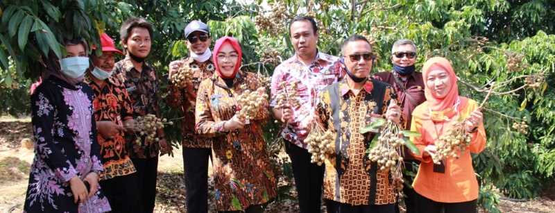 Bupati Apresiasi Pembuatan Agro Wisata Kebun Kelengkeng di Desa Sumberagung