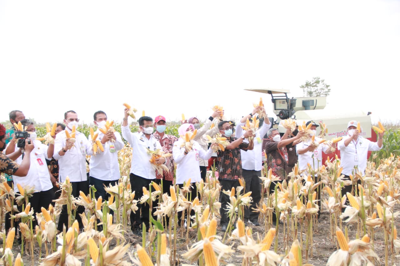 Bupati Grobogan: Biarkan Petani Nikmati Hasil Panen, Jangan ada Impor!