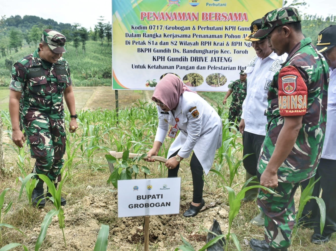 Bersama Perhutani Bupati Lakukan Penanaman Alpukat