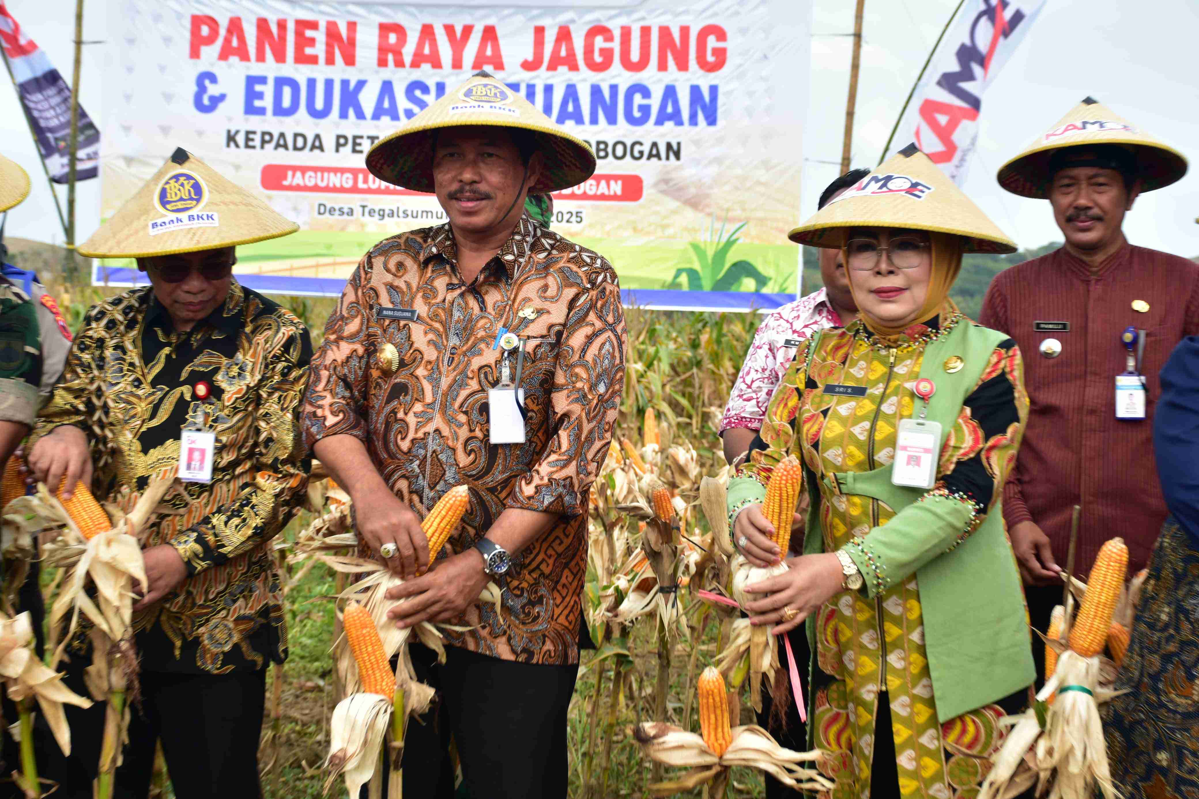 PJ GUBERNUR JAWA TENGAH DAN BUPATI GROBOGAN PANEN RAYA JAGUNG DI DESA TEGALSUMUR