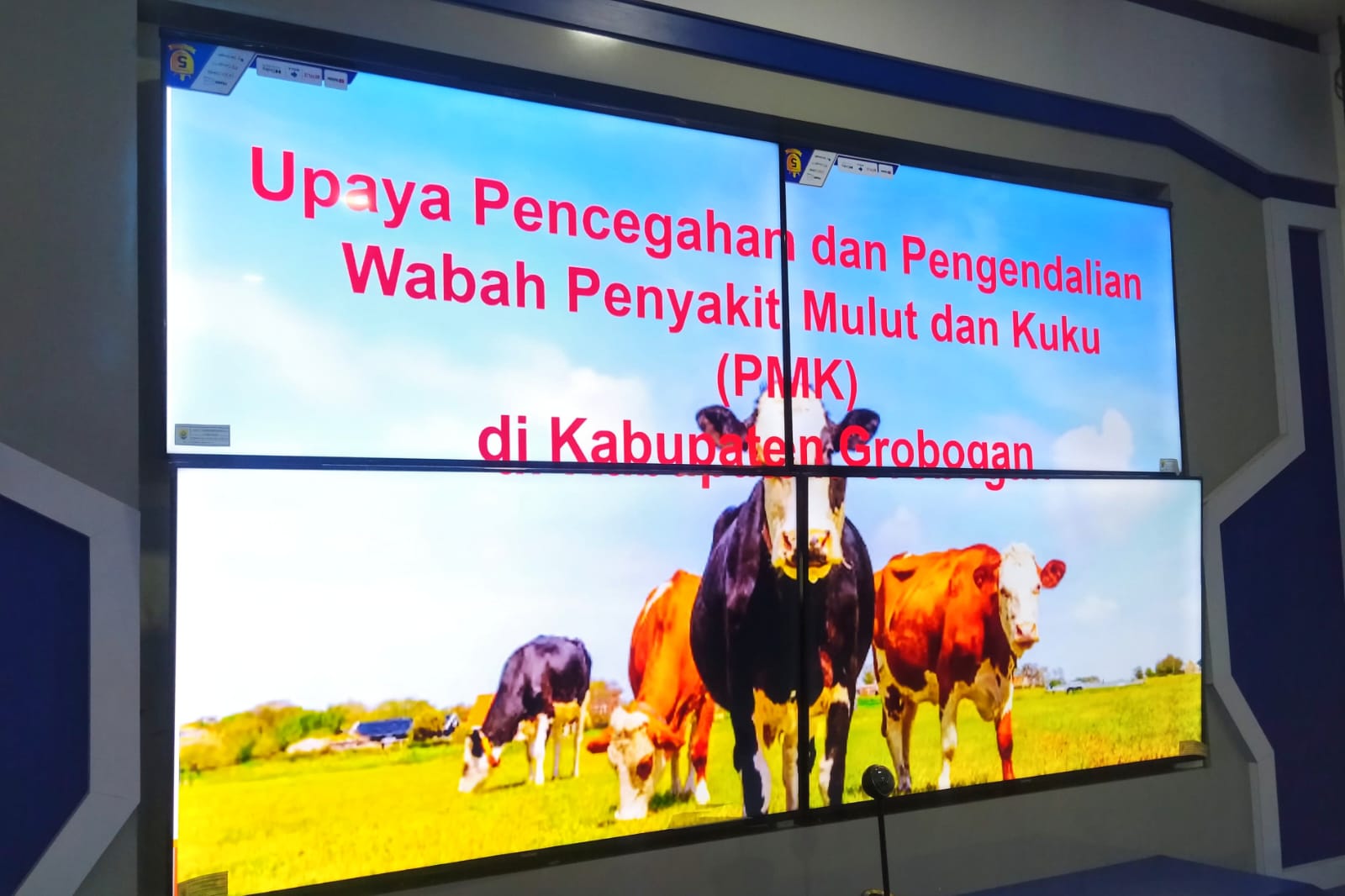 PENANGANAN PMK DI GROBOGAN: UPAYA CEPAT CEGAH PENYEBARAN DAN LINDUNGI PETERNAK